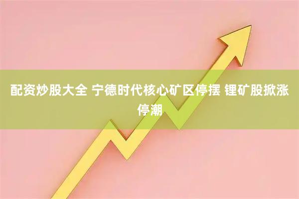 配资炒股大全 宁德时代核心矿区停摆 锂矿股掀涨停潮